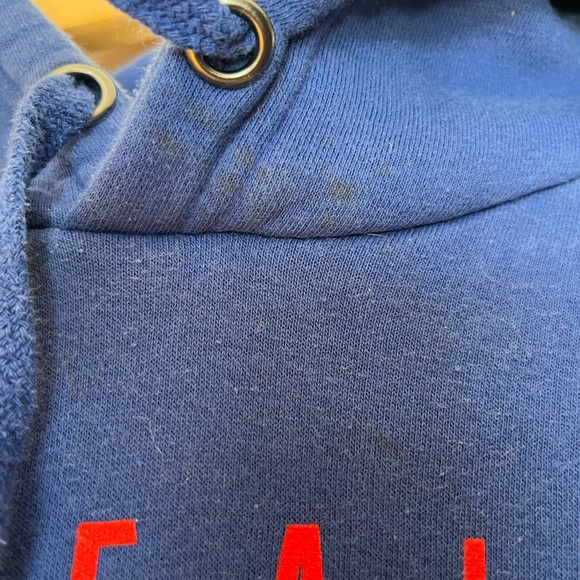 Team Apparel Blue Buffalo Hoodie - Picture 4 of 4